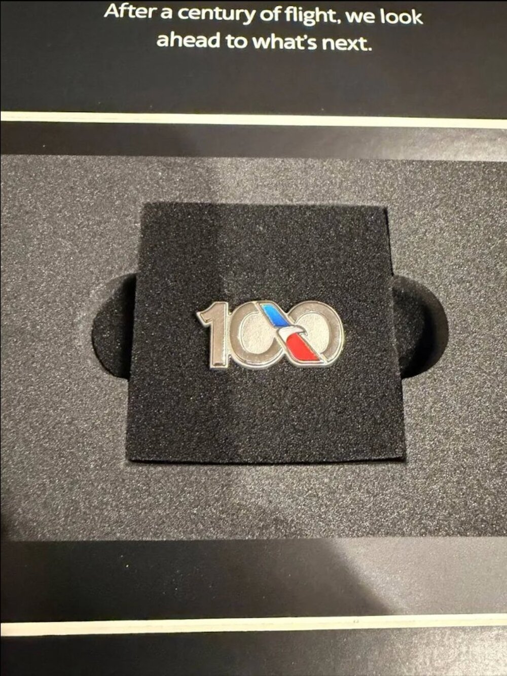American Airlines Centennial 100 year pin